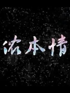 侬本情 第12集